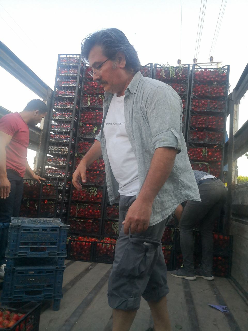 Üreticiden sofraları gıda desteği projesi